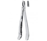 Extracting Forceps